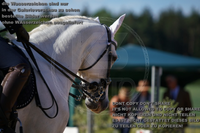 s_K3F04992.JPG